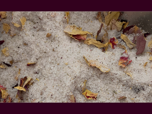 Activation Ritual for Rest & Reflection Spirit Soak