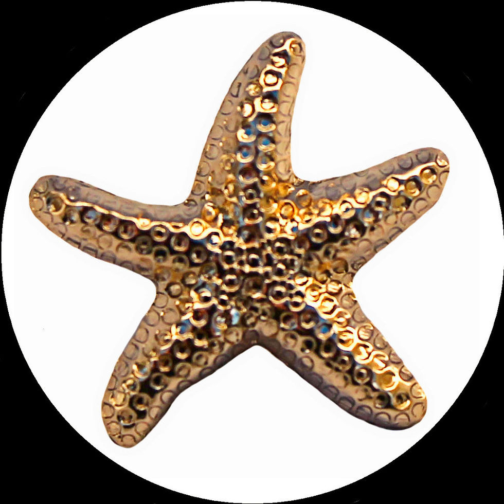 Miniature : Bouton en forme d'Étoile de mer en métal doré, env. 20 x 19 mm