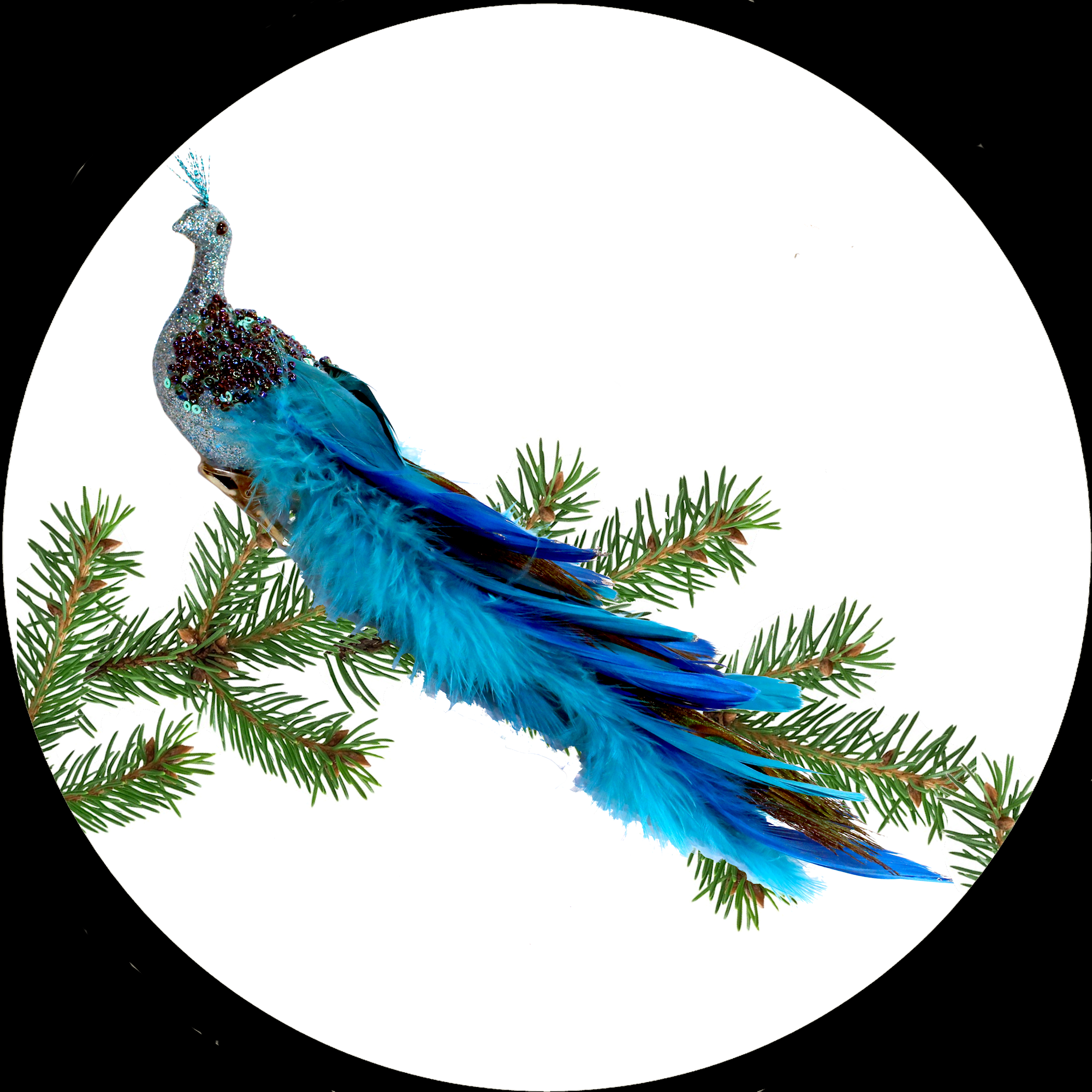 Clip de Noël avec un Paon bleu décoré de plumes naturelles