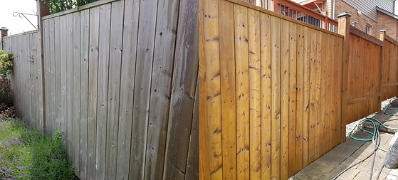 fence.png