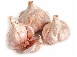 にんにく(屋久島産)