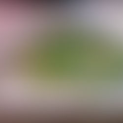 Envisioning the Future Aguinaldo Park: A Design Thinking Session at Aguinaldo Park, Salud Mitra, Baguio City