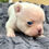 Thumbnail: Wink