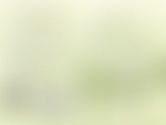 What are the characteristics of a Buddhist CEO?