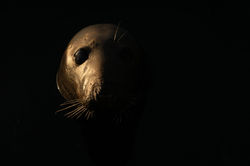 Seal