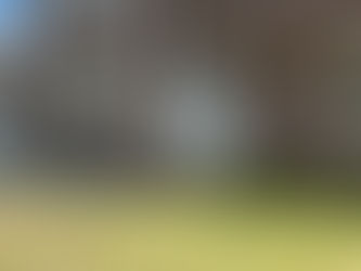 New Listing in Westfield, MA: 336 Paper Mill Rd