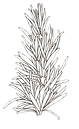 pic_03.png