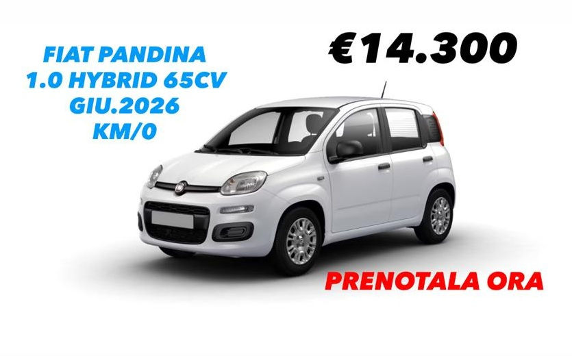 TEL 3491121613