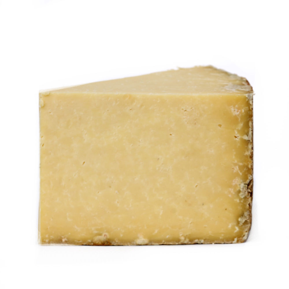 Salers Morin 18 Months