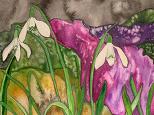 Snowdrops 2
