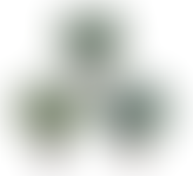 Winlyn Set of 3 Mini Potted Artificial Eucalyptus Plants Plastic Fake Green Rosemary Plant for Home Decor Office Desk Shower Room Decoration