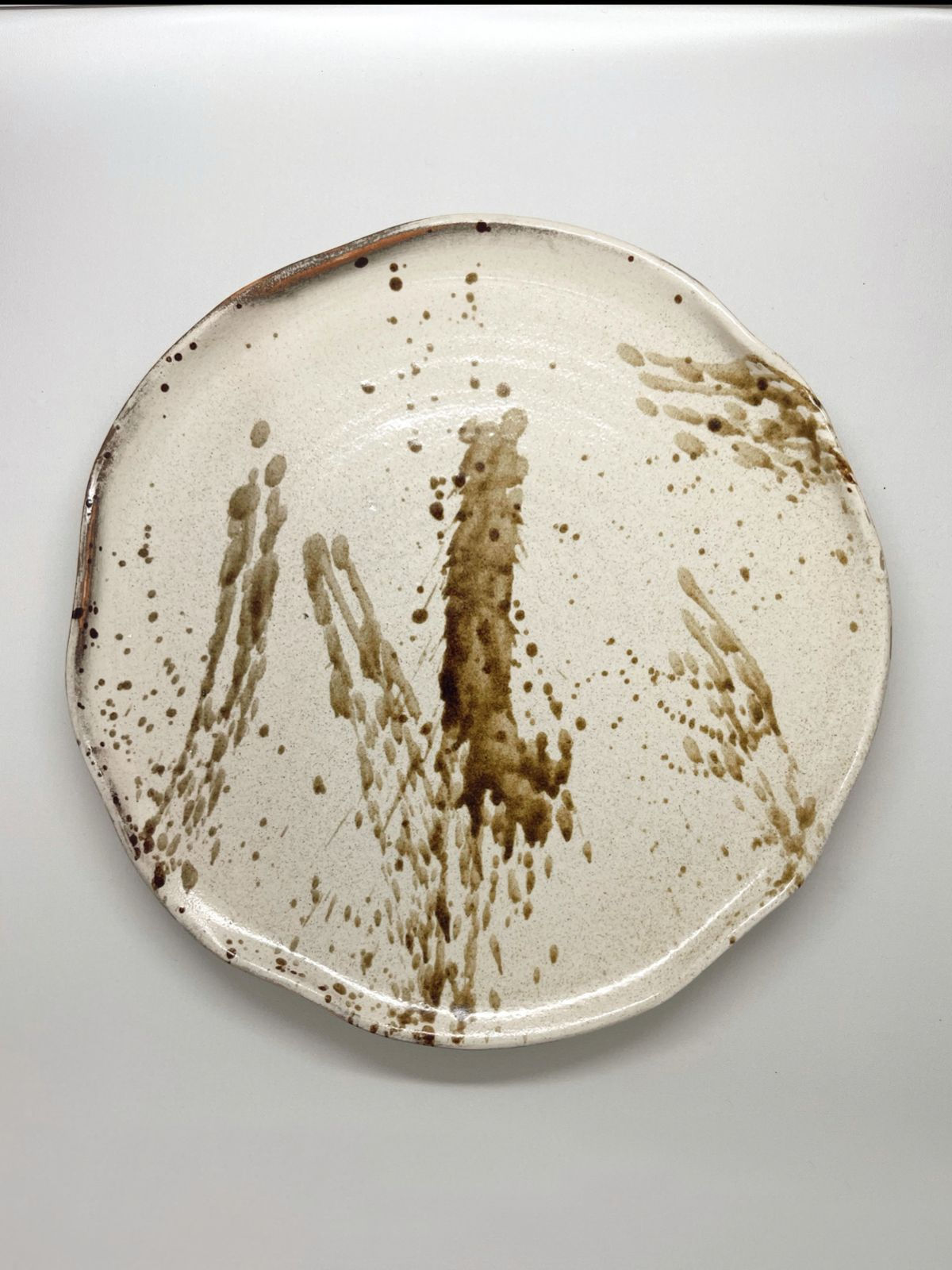 Regular Brown Pollock Plate