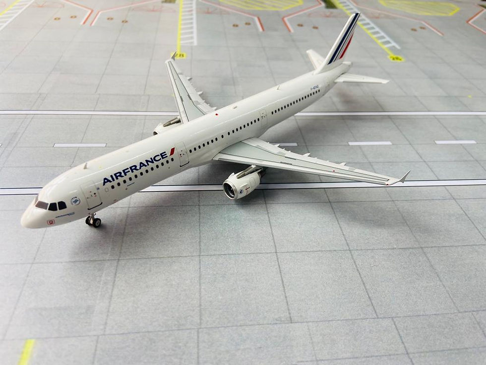Thumbnail: Inflight 200 Airbus A-321 Air France