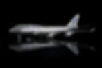 Thumbnail: SQ Wings Boeing House Livery with Full Polished Body
