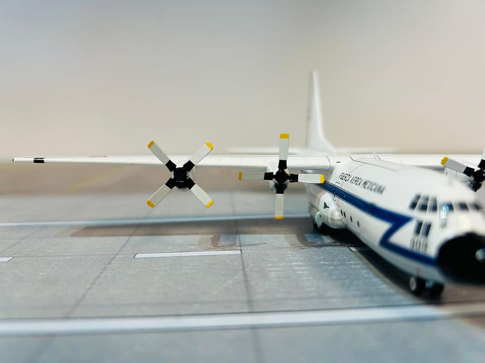 Miniatura: Inflight - 200 Lockheed C-130H Hercules Usaf