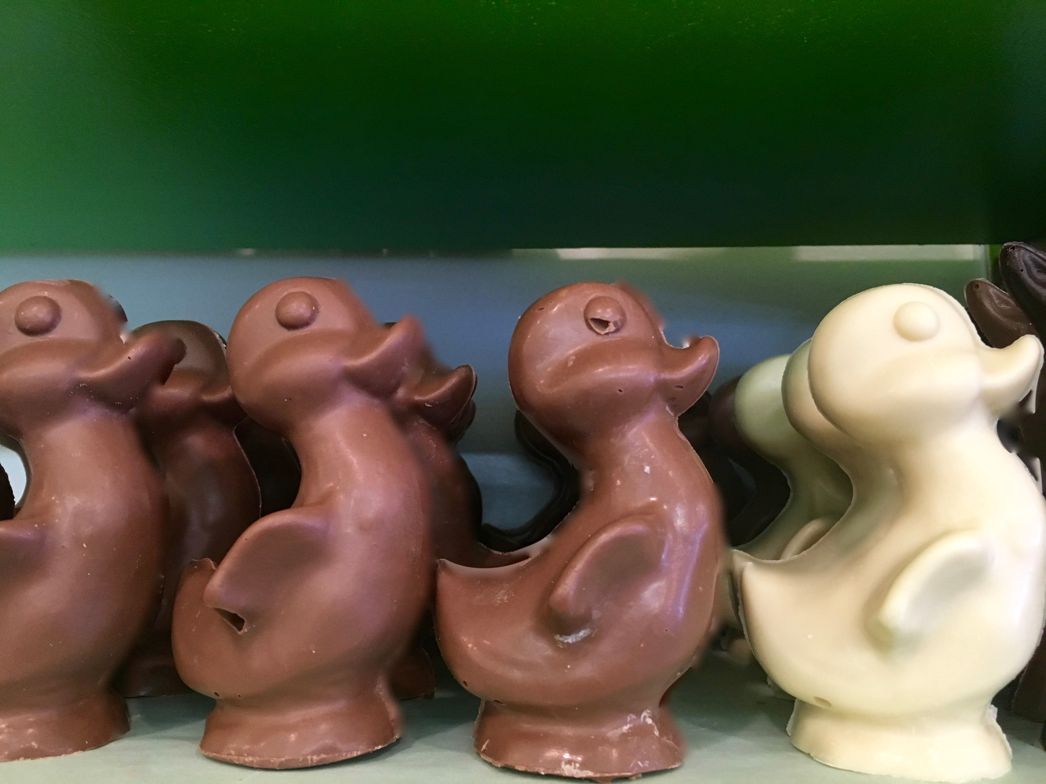 6.2 oz Solid Chocolate duck