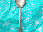 Spoons, Processing and God's Kindness