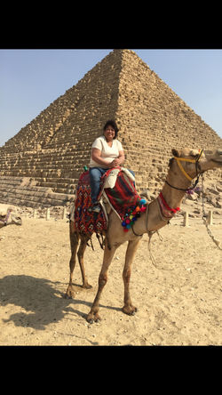 Elma Camel in the Pyramids
