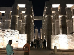 ae929210-8e47-4321-b4bb-f7573ffc11bd