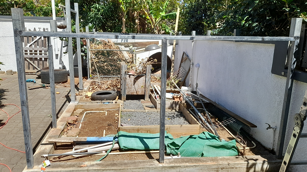 Backyard Greenhouse before renovation
