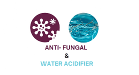 ANTIFUNGAL-transformed_edited.png