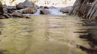 08.gif