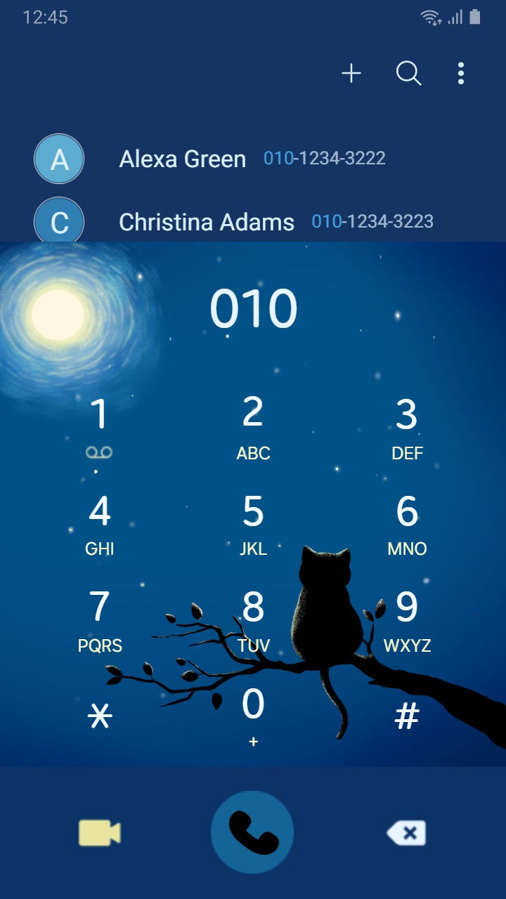 縮圖：Animated Cat Moon Light