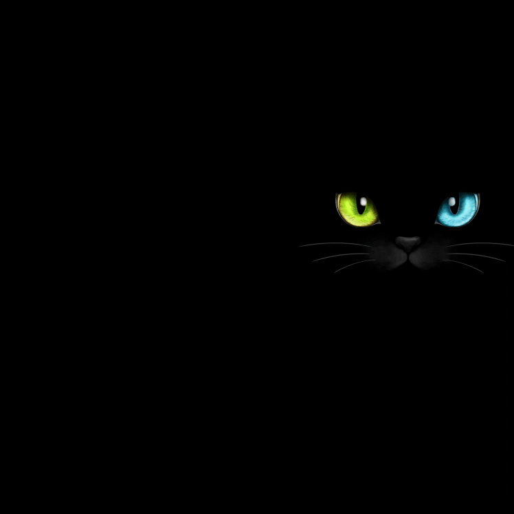 縮圖：Animated Mysterious Cat Eyes (Live)