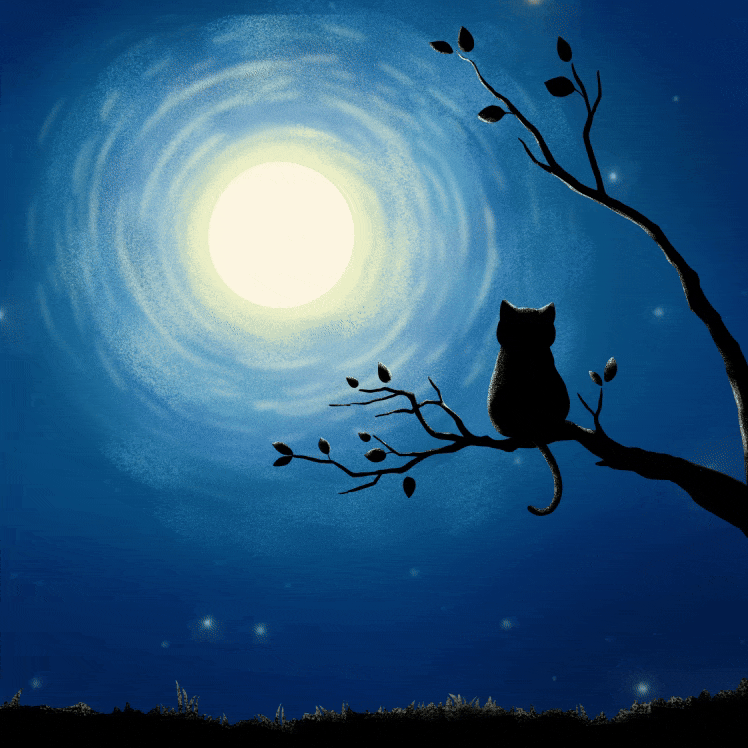 縮圖：Animated Cat Moon Light