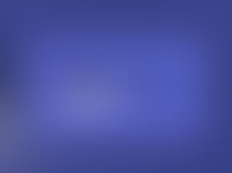 Websites: How Did They Become the Operating System of Modern Business?