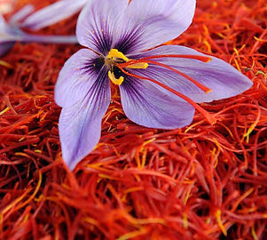 loose saffron with a saffron flower