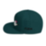 Thumbnail: Shocker Snapback Hat