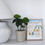 Thumbnail: SHELF LOVE SERIES - #4