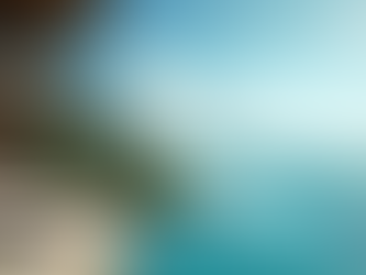 Book Your Dream Luxury Trip with Dimension Travel