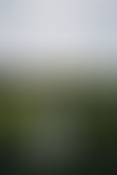 Modern Autumn Wedding at Great River Golf Club - Kaitlynn & Scott