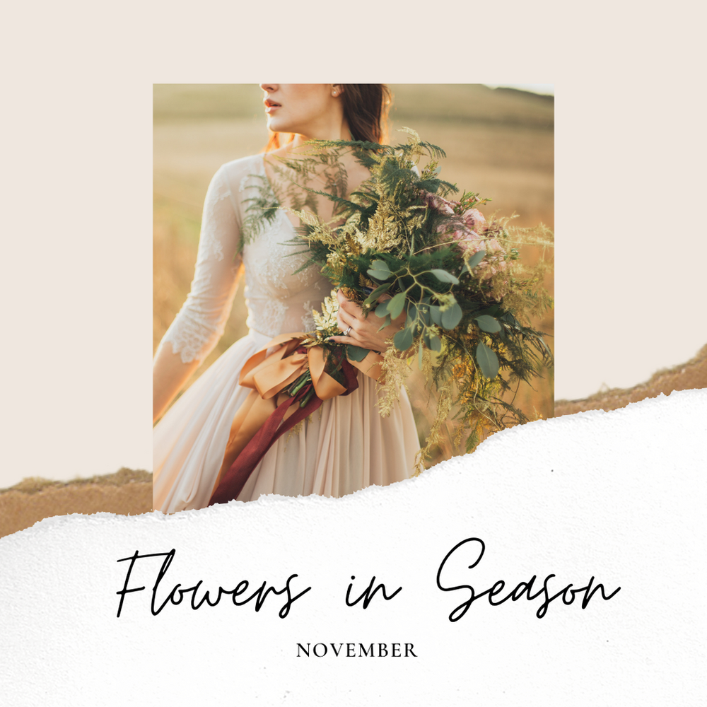 flowers-in-season-november