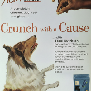 Why Chickpea-Based Pet Treats Are the Future