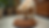 Eye-level view of a dog feeding bowl filled with organic food