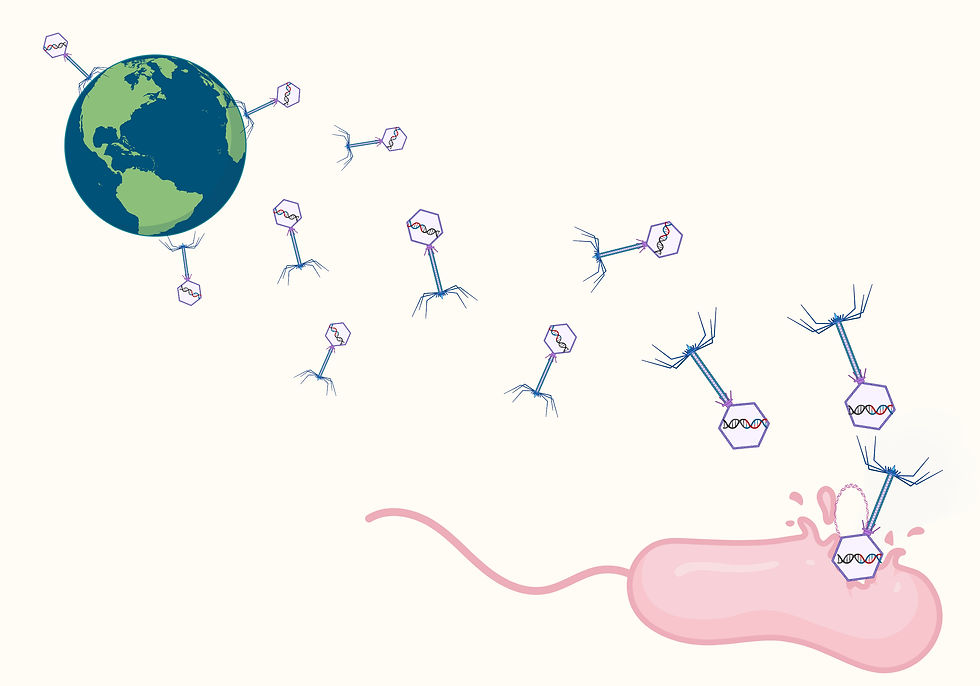 The shapers of the biosphere: bacteria eater - part I