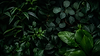 ChatGPT Image Jun 8, 2026, 04_41_29 PM.png