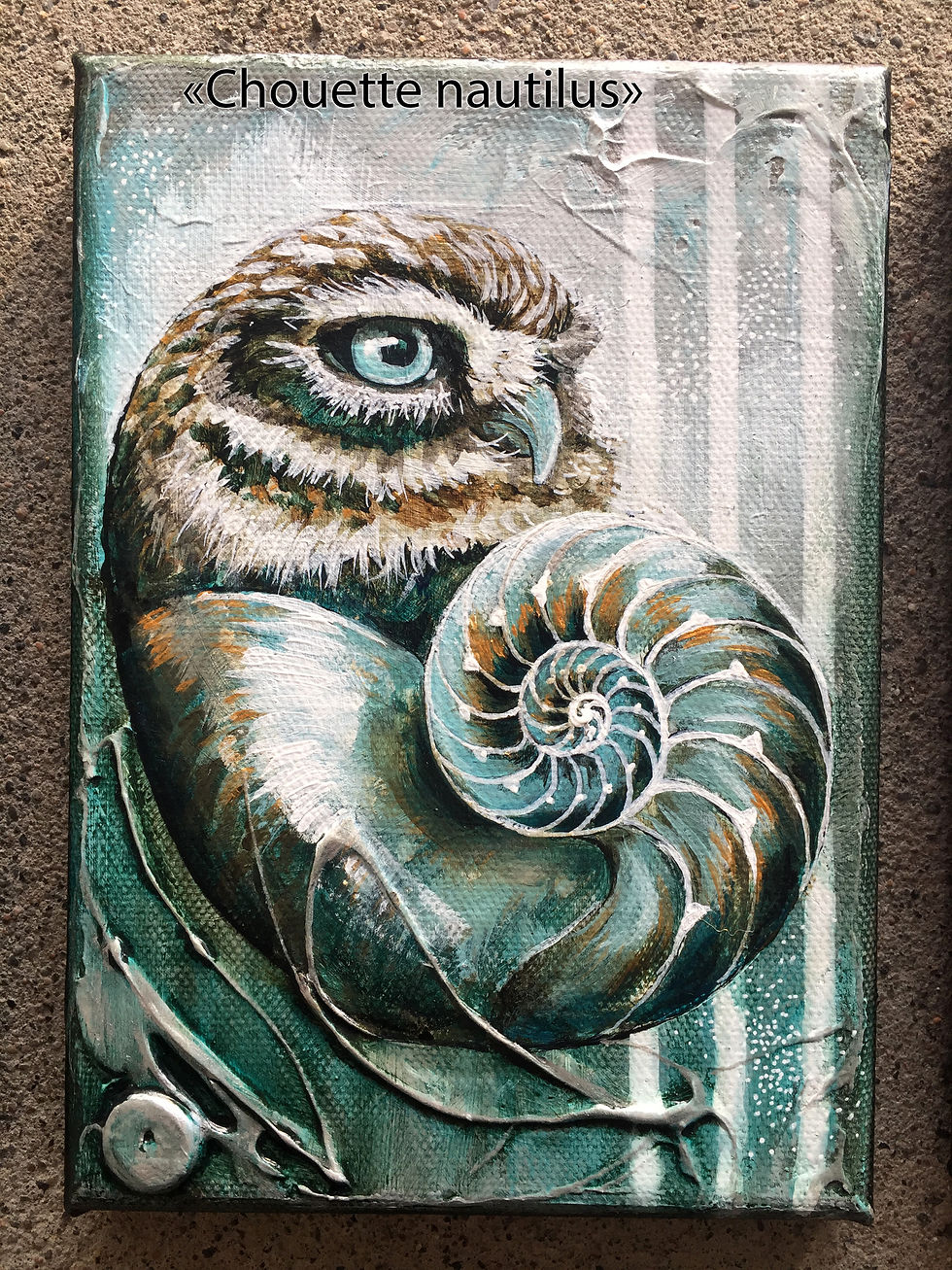 Chouette nautilus - Veronique Vero Blais