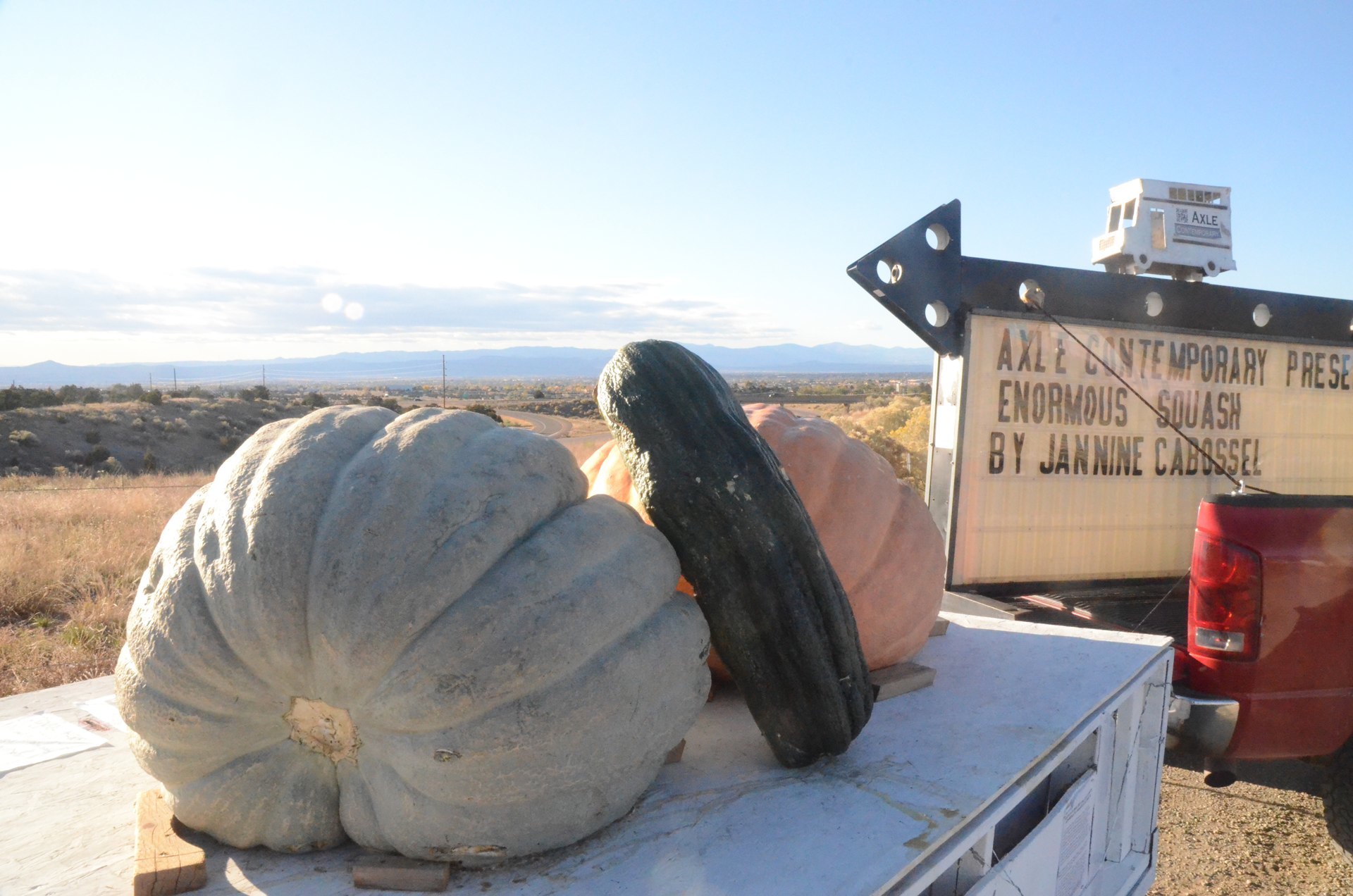 Jannine Cabossel, Enormous Squash