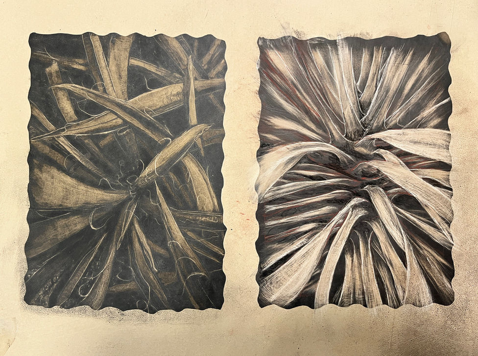 lithos in proccess.jpeg