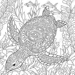 Coloring Book Examples Axle