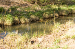 Riverwalk park b.jpg