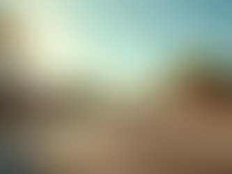 Navigating Current Trends in the Phoenix Metro Real Estate Market for Buyers and Sellers