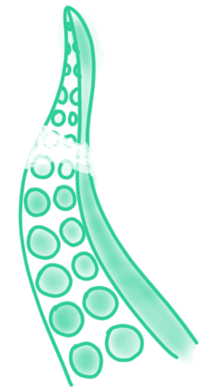 IMG_0071.png