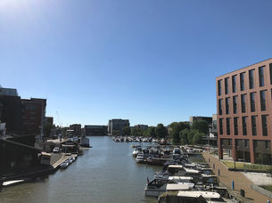 IMG_2357.jpeg
