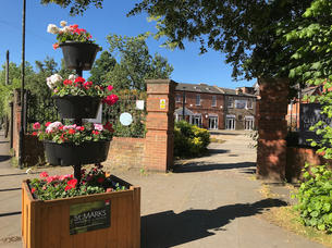 IMG_2332.jpeg