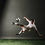 Miniature : Meilleur footballeur (attaquant)